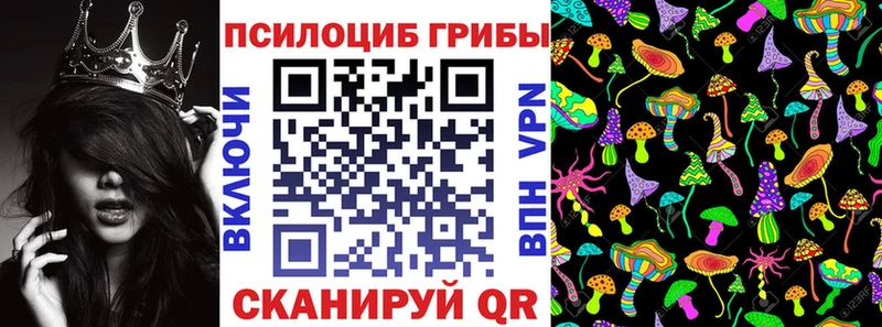 Псилоцибиновые грибы Psilocybine cubensis  закладка  Заозёрск 